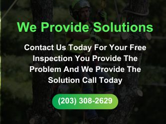 We provide solutions