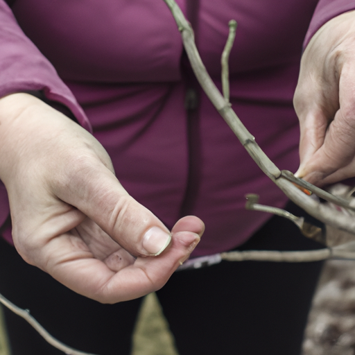 How Do You Get Rid Of Small Trees?